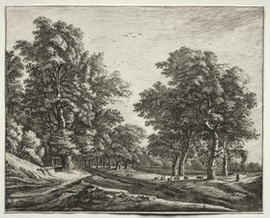Sei vedute nel bosco dell