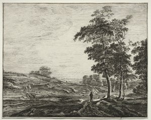 Sei vedute nel bosco dell