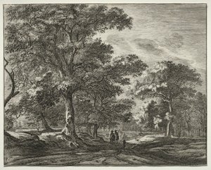 Sei vedute nel bosco dell
