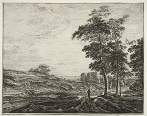 Sei vedute nel bosco dell