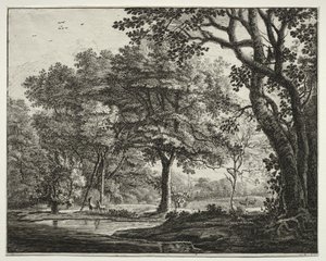 Sei vedute nel bosco dell
