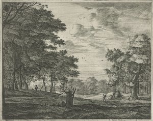 Passeggiatore nella foresta dell