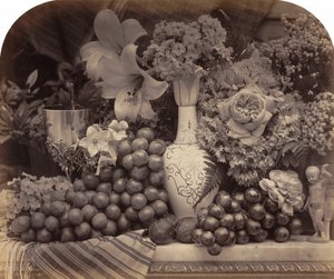 Frutta e fiori, 1860