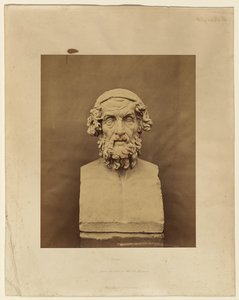 Omero, dal busto del British Museum da Roger Fenton