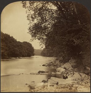 [Riverscape]