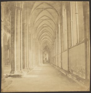 Navata sud della cattedrale di Salisbury da Roger Fenton