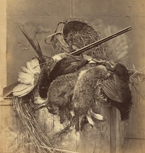 [Natura morta con selvaggina e pistola] da Roger Fenton
