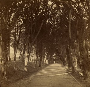 La passeggiata al buio; Stonyhurst