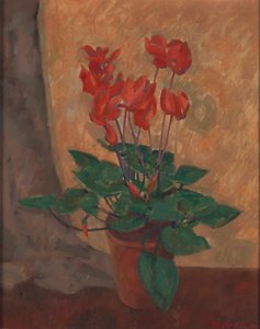 Ciclamino da Roger Fry