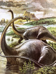 Diplodocus da Roger Payne