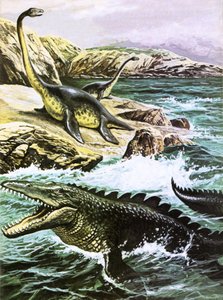 Plesiosauro (in alto) e Tylosauro (in basso) da Roger Payne