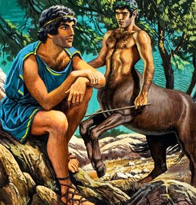 La storia del vello d