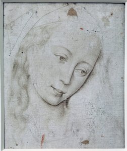 Testa della Vergine