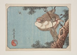 Scimmia e vespa da Rokubei Rokubei