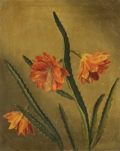 Studio di fiori da Rolinda Sharples