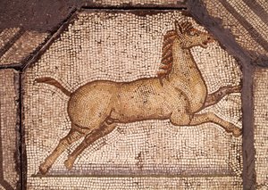 Un cavallo, dettaglio da Orfeo che incanta gli animali da Roman