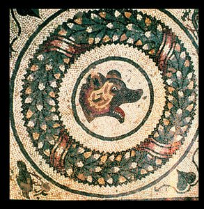 Testa di orso, mosaico romano, inizio IV secolo da Roman