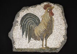 Gallo da Roman