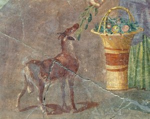 Capra e cesto di frutta, affresco da Pompei, Campania, Italia, Civiltà romana da Roman