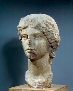 Testa di Agrippina maggiore, moglie di Germanico, nipote di Augusto, figlia di Agrippa e Giulia e madre di Caligola