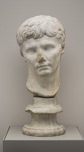 Testa dell