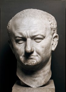 Testa dell
