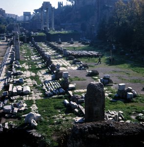 Luogo dove iniziò la Basilica Giulia da Cesare intorno al 54 a.C. e terminata da Augusto - Foro Romano, Roma
