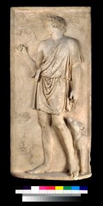 Rilievo di Antinoo come Dioniso o Silvano, raccolta dell