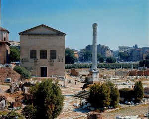 Foro Romano: vista della Curia da Roman