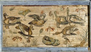 Arte romana: anatra, rana e ninfee in uno stagno