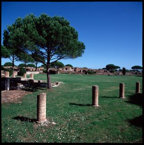 Arte romana: vista delle rovine del Campo della Magna Mater, regione IV