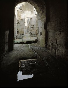 Arte romana: vista dei passaggi sotterranei del Colosseo a Roma, Italia da Roman
