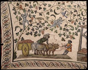 La vendemmia