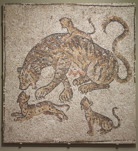 Tigre e cuccioli, c.300 d.C. da Roman