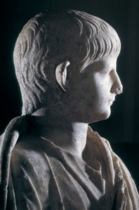 Statua togata del giovane Nerone, vista laterale della testa, c.50 d.C. (dettaglio) da Roman