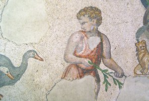 Immagine sconosciuta da Roman