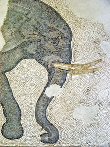 Immagine sconosciuta da Roman