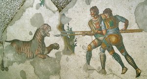 Immagine sconosciuta