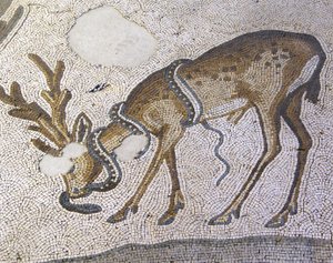 Immagine sconosciuta