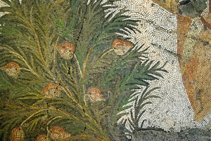 Immagine sconosciuta da Roman