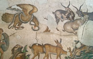 Immagine sconosciuta