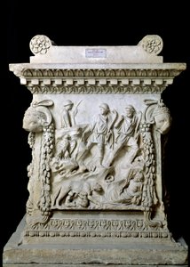 Immagine sconosciuta da Roman