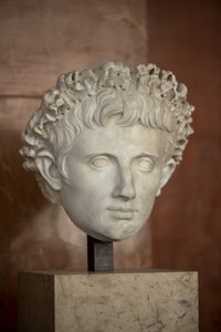 Testa dell