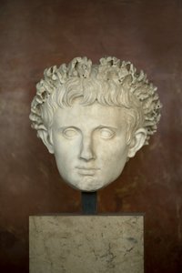 Testa dell