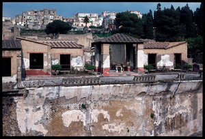 Casa dei cervi, V secolo a.C.-I secolo d.C. da Roman Roman