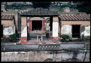 Casa dei cervi da Roman Roman