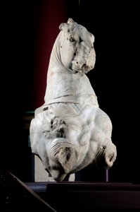 Parte anteriore di un cavallo (marmo) da Roman Roman