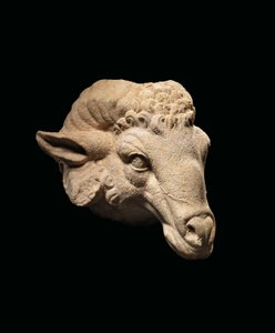 Testa di un ariete, c.1° secolo a.C. - 1° secolo d.C. da Roman Roman