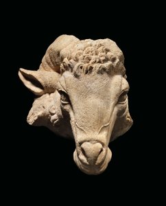 Testa di ariete, c. I secolo a.C. - I secolo d.C. da Roman Roman