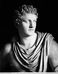 Meleagride (dettaglio), copia romana di un originale di Scopas da Roman Roman